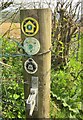 ST4501 : Waymarks on the Wessex Ridgeway by Derek Harper