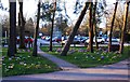 SP1678 : Flower beds near car park, Brueton Park, Solihull by P L Chadwick