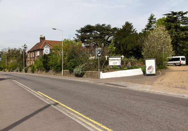 Colney Fox