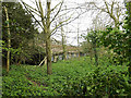 TM3569 : Farm Building at Sibton Abbey by Geographer