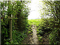 TM3569 : Loves Lane footpath by Geographer