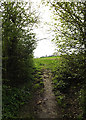 TM3569 : Loves Lane footpath by Geographer