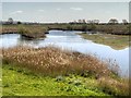 SD4213 : Martin Mere WWT Centre - Reedbeds Viewed From The Harrier Hide by David Dixon