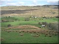 NY7700 : Ruined field barn near Cowstead Gill by Christine Johnstone