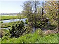 SD4214 : Martin Mere WWT, View from Kingfisher Hide by David Dixon