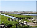 SD4214 : Martin Mere WWT Centre, Boathouse Sluice and Sunley's Marsh by David Dixon