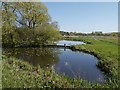 SD4214 : View from Ron Barker Hide, Martin Mere WWT Centre by David Dixon