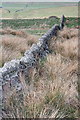 NY7165 : Dry Stone Wall, Below Oaky Knowe Crags by Mick Garratt