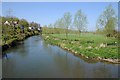 ST9101 : River Stour viewed from Crawford Bridge by Philip Halling