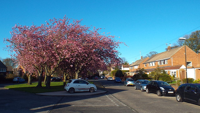 Lambourne Road, Sunderland