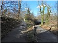 NS5162 : Cycle route at Howford Bridge by Lairich Rig