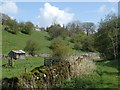 SK1472 : Path near Priestcliffe by Andrew Hill