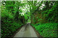 SO6520 : Old railway bridge abutments at Hoovers Lane by John Winder