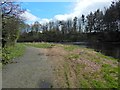 NS3978 : Path around Cordale Point by Lairich Rig