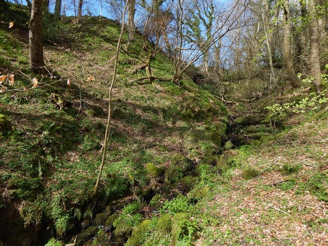 Tributary of the Murroch Burn