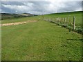 NY2333 : Bridleway alongside a newly-planted hedge by Christine Johnstone