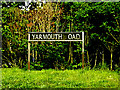 TM4394 : Yarmouth Road sign by Geographer