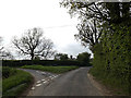 TM4295 : Pound Lane, Toft Monks by Geographer