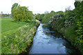 SK5034 : The River Erewash in Manor Farm Park by David Lally