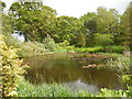 TQ8225 : The Horse Pond. Great Dixter by Paul Gillett