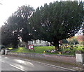 SO8415 : Churchyard perimeter trees, Matson, Gloucester by Jaggery