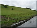 SD9315 : Rochdale Canal bank, south of bridge 52 by Christine Johnstone