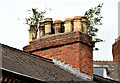 J3372 : Chimney and chimney pots, Stranmillis, Belfast (May 2014) by Albert Bridge