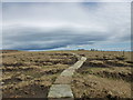 NT9019 : Pennine Way on Cairn Hill by Alan O'Dowd