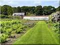 SJ7481 : Kitchen Garden at Tatton Park by David Dixon