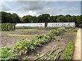 SJ7481 : Tatton Park Vegetable Garden by David Dixon