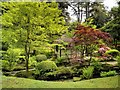 SJ7481 : Japanese Garden, Tatton Park by David Dixon