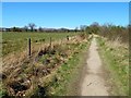 NS5086 : West Highland Way near Gartness by Lairich Rig