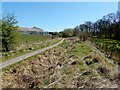 NS5185 : West Highland Way near Killearn by Lairich Rig