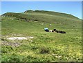 SK1283 : The Walk up Mam Tor by David Dixon