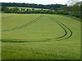 TF7916 : Parallel lines in the barley by Richard Humphrey