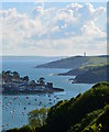 SX1351 : View over the River Fowey, Cornwall by Edmund Shaw