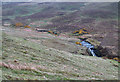 NG3935 : Grassy slopes descending to Allt Meadale by Trevor Littlewood