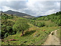 NN3522 : Glen Falloch by Chris Heaton