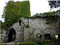 C2927 : Interior, Rathmullan Priory by Kenneth  Allen