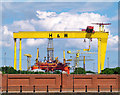 J3575 : The most famous cranes in Belfast by Rossographer