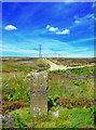 NZ8602 : Sneaton Boundary Stone - Wider View by Scott Robinson