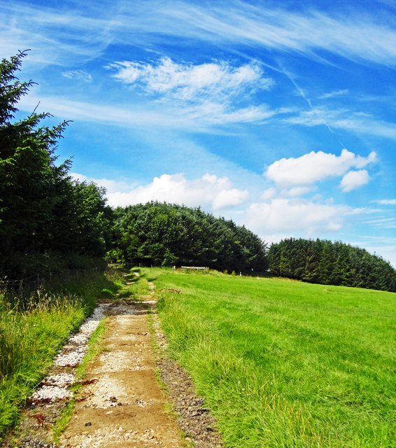 Farm Track Leading From Leas Head Farm