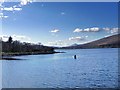 NM9744 : View of Loch Creran from Creagan Bridge by David Dixon