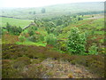 SE0809 : View of the Swinsey Dike valley by Humphrey Bolton