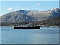 NN0460 : Cruising on Loch Linnhe by David Dixon