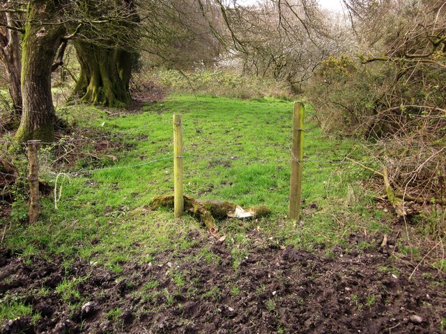 Fence, Lewesdon Hill