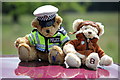 SJ5451 : Police teddy and friend at Cholmondeley by Jeff Buck