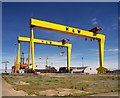 J3575 : The most famous cranes in Belfast by Rossographer