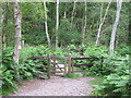 TM4668 : Gateway to RSPB Minsmere from Dunwich Heath by Roger Jones