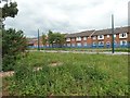 SK5236 : Tram tracks behind Gwenbrook Avenue by David Lally